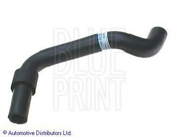 BLUE PRINT Radiator hose Article number: ADT39430 cheaply