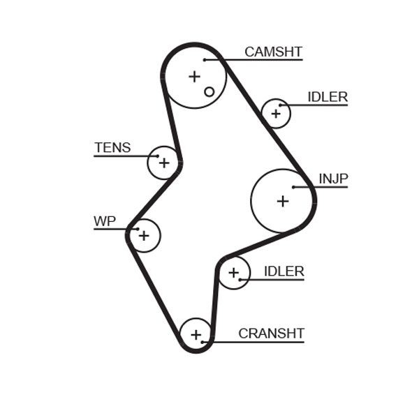 GATES Timing Belt Article number: 5658XS cheaply