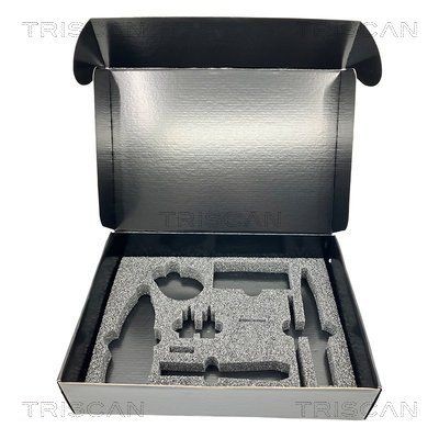 TRISCAN Crankcase gasket set Article number: 595-5510 cheaply