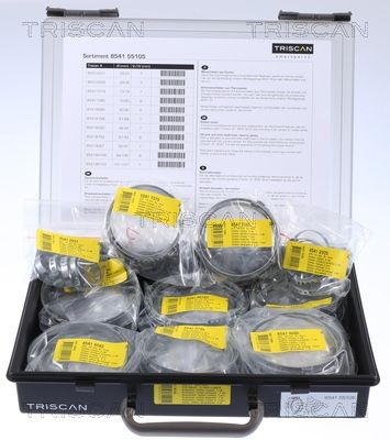 TRISCAN Crankcase gasket set Article number: 595-6901 cheaply