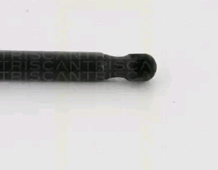 TRISCAN Tailgate strut Article number: 8710 16262 cheaply