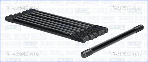 TRISCAN Bolt Kit, cylinder head Article number: 98-1006 cheaply