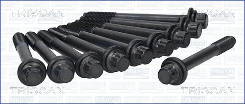 TRISCAN Bolt Kit, cylinder head Article number: 98-4207 cheaply