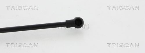 TRISCAN Holder, bremseslange Varenummer: 8105 3212 billige