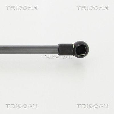 TRISCAN Brake disc Article number: 8120 10175 cheaply