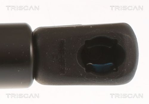 TRISCAN Brake disc Article number: 8120 24119 cheaply