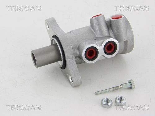 TRISCAN Peapiduri silinder Artikli number: 8130 25147 soodsalt