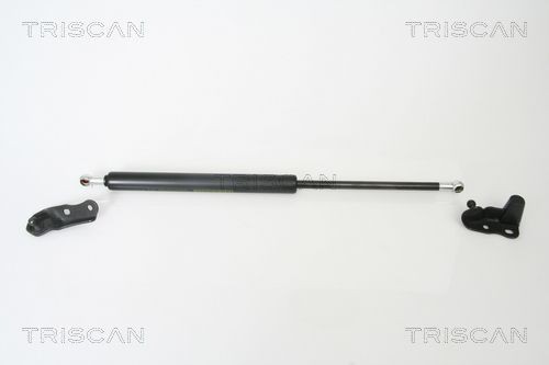 TRISCAN Tailgate strut Article number: 8710 13265 cheaply