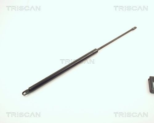 TRISCAN Tailgate strut Article number: 8710 2908 cheaply
