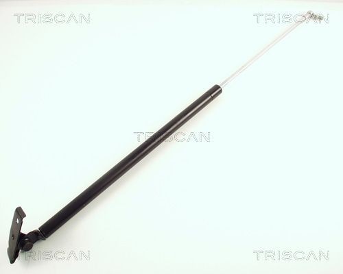 TRISCAN Tailgate strut Article number: 8710 50216 cheaply