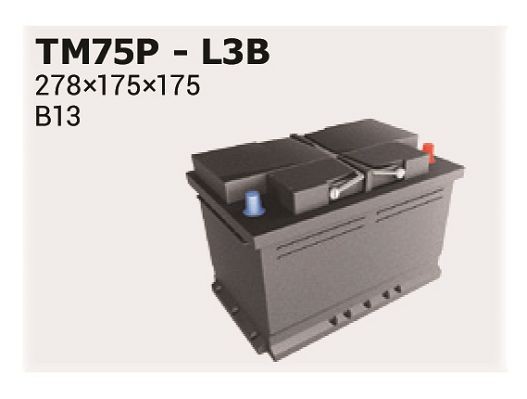 IPSA Battery Article number: TM75P cheaply
