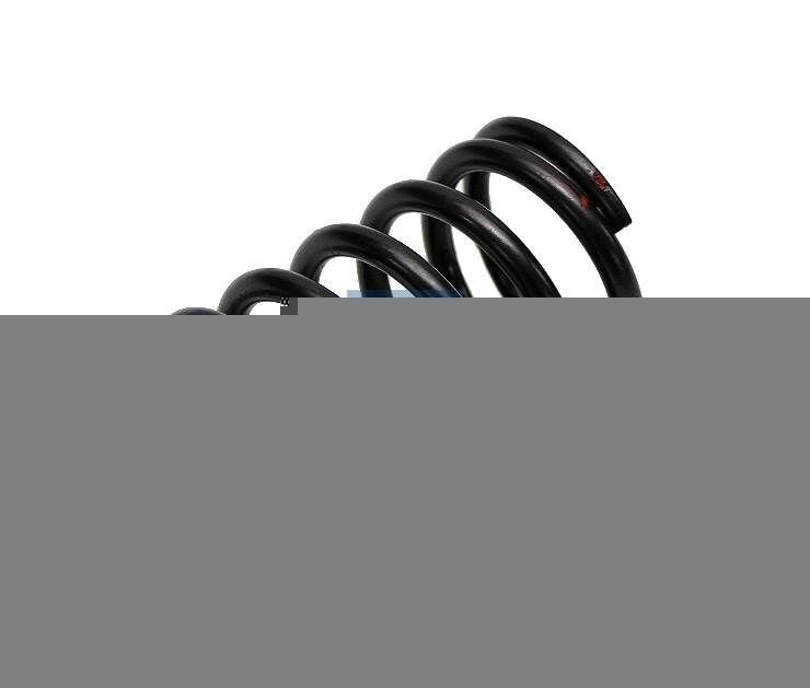DT Spare Parts Valve Spring Article number: 4.70057 cheaply