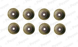 PAYEN Seal Set, valve stem Article number: HR789 cheaply