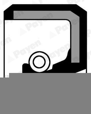 PAYEN Camshaft seal Article number: NF741 cheaply