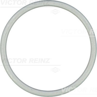REINZ Exhaust pipe gasket Article number: 41-73067-30 cheaply