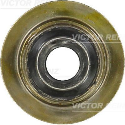 REINZ Valve stem seal Article number: 70-35893-00 cheaply