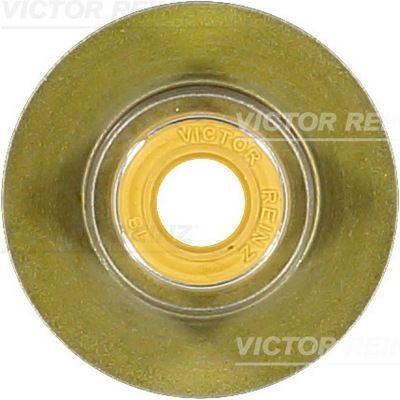REINZ Valve stem seal Article number: 70-40336-00 cheaply