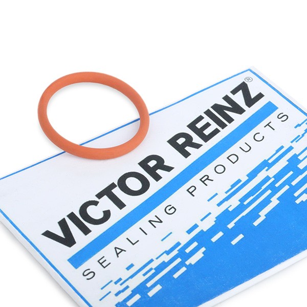 REINZ Inlet manifold gasket Article number: 71-35247-00 cheaply