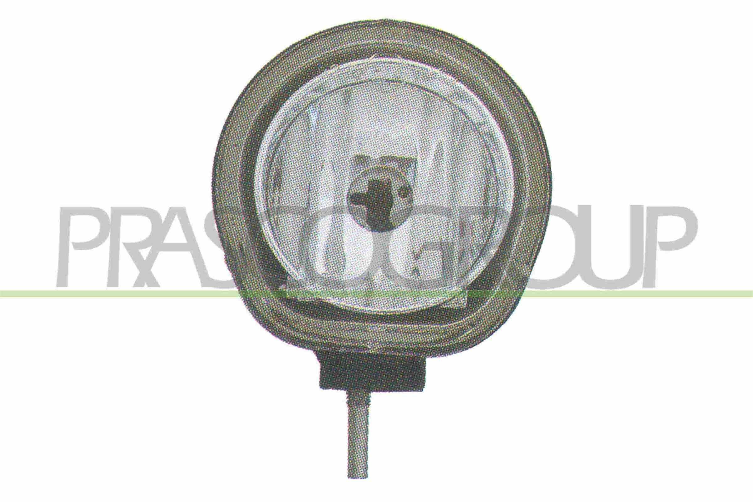 PRASCO Fog Light Article number: FT1224433 cheaply