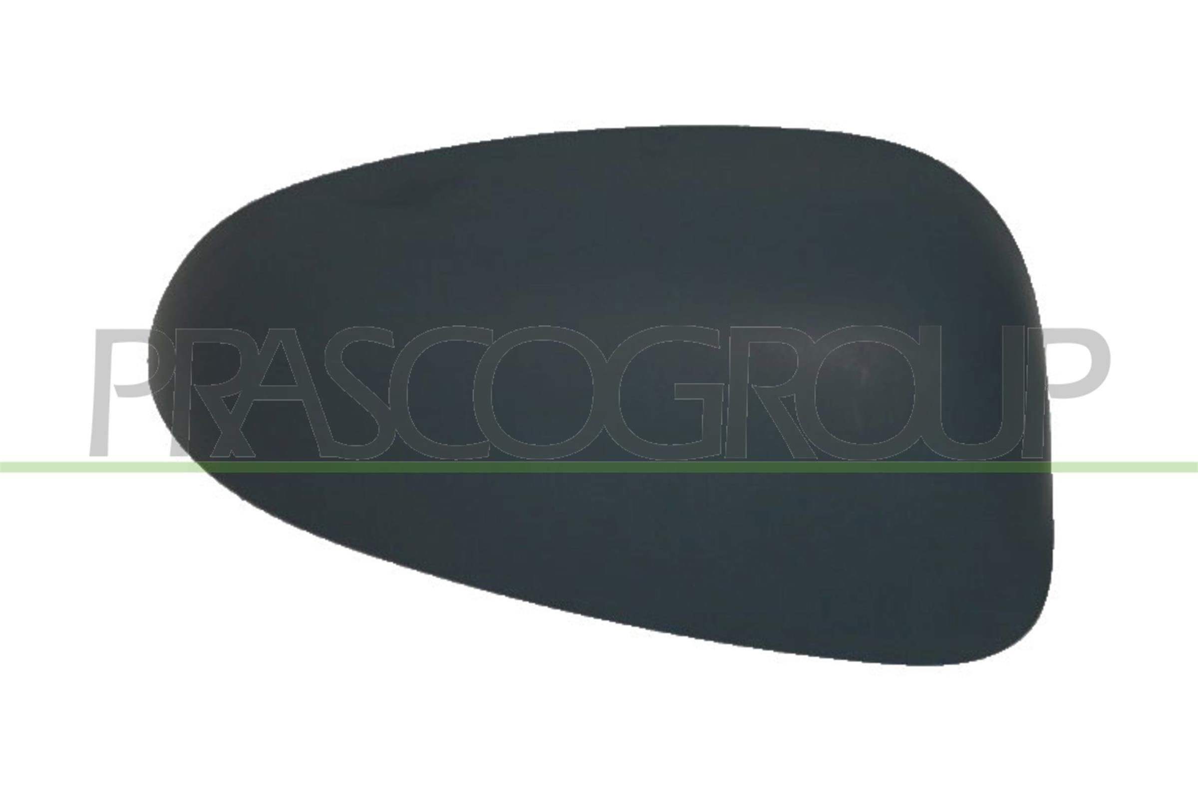 PRASCO Cover, outside mirror Article number: FT1387403 cheaply