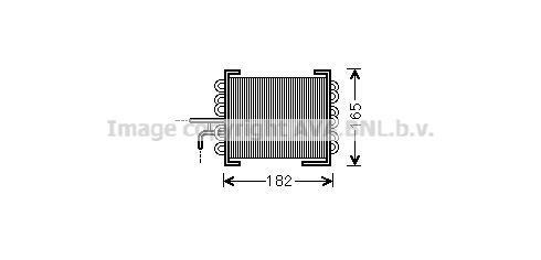 PRASCO Fuel radiator Article number: MS2480 cheaply