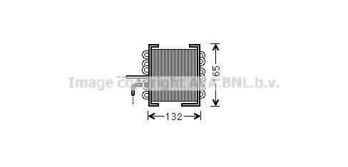 PRASCO Fuel radiator Article number: MS2481 cheaply