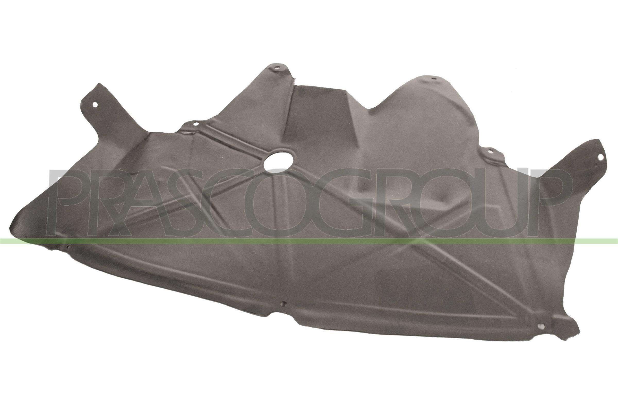 PRASCO RN0251900 Silencing Material, engine bay TWINGO 1.2 16V 75 PS Petrol 2012