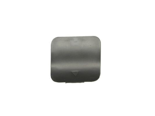 BLIC Flap, tow hook Article number: 5513-00-0075970P cheaply