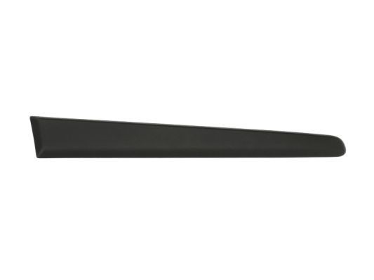 BLIC Trim / Protective Strip, mudguard Article number: 5703-04-2027474P cheaply