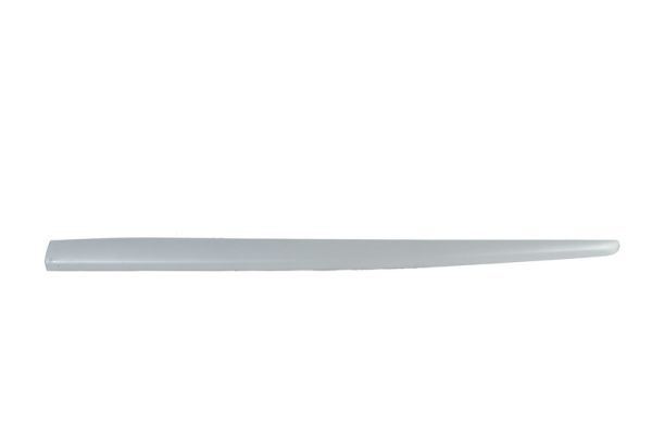 BLIC Door molding Article number: 5703-04-2027575P cheaply