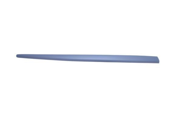 BLIC Door molding Article number: 5703-04-2027576P cheaply