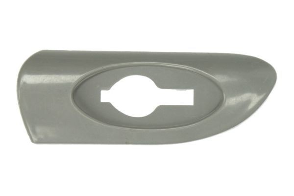 BLIC Trim / Protective Strip, mudguard Article number: 5703-04-5077476P cheaply