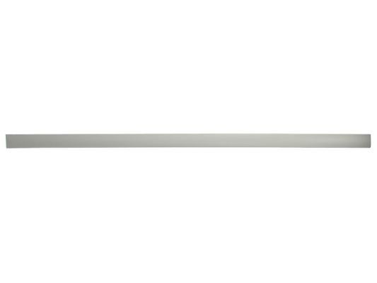 BLIC Door molding Article number: 5703-04-5078575P cheaply