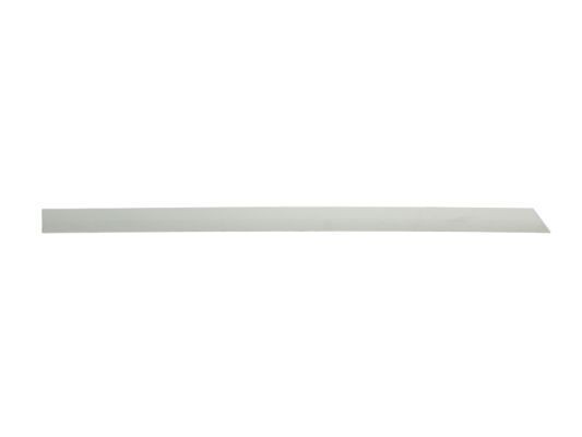 BLIC Door molding Article number: 5703-04-5078578P cheaply