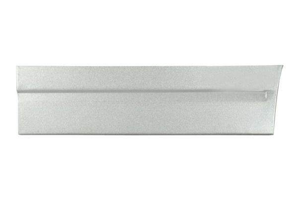 BLIC Door, body Article number: 6015-00-9558122P cheaply