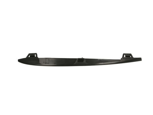 BLIC Bumper moulding Article number: 6502-07-0067921P cheaply