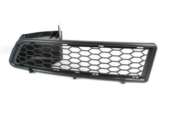 BLIC Bumper grill Article number: 6502-07-1301991P cheaply