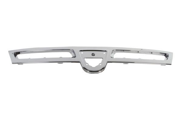 BLIC Trim / Protective Strip, radiator grille Article number: 6502-07-1305991P cheaply