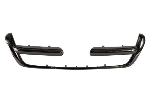BLIC 6502-07-2956991P Pynte- / beskyttelsesliste, kølergitter CR-V 2.0 (RD5) 150 HK Benzin 2006