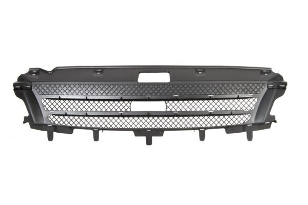 BLIC Radiator Grille Article number: 6502-07-3081990P cheaply