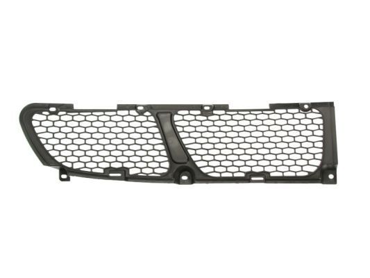 BLIC Bumper grill Article number: 6502-07-3191911P cheaply
