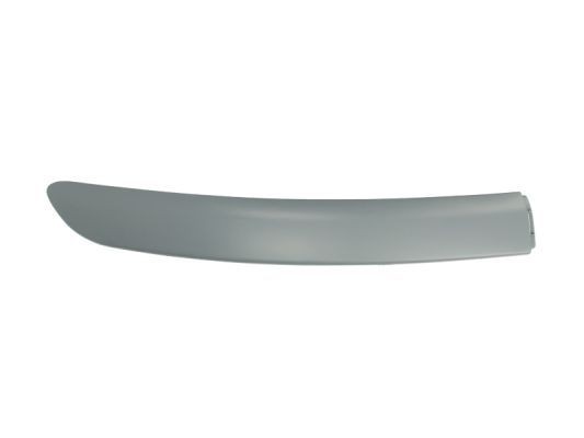 BLIC 6502-07-8109922P Bumper moulding YARIS 1.4 D-4D (NLP10_) 75 PS Diesel 2005