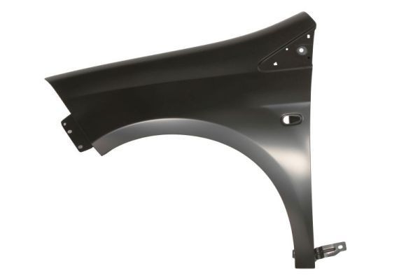 BLIC Wing fender Article number: 6504-04-2029312P cheaply