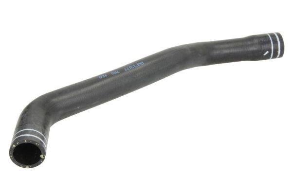 THERMOTEC Radiator hose Article number: DWF069TT cheaply