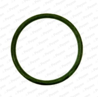 PAYEN Inlet manifold gasket Article number: JD538 cheaply