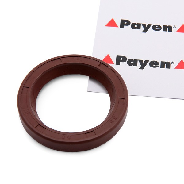 PAYEN Camshaft seal Article number: NF841 cheaply