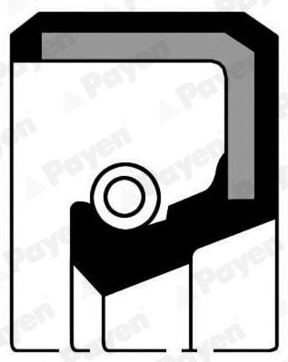 PAYEN Crankshaft seal Article number: NF694 cheaply