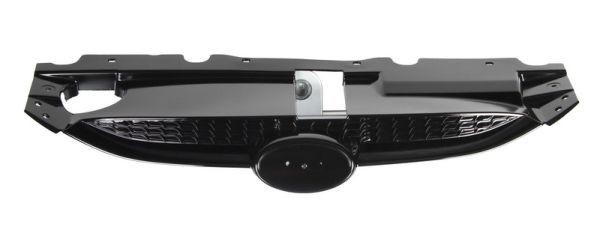 BLIC Radiator Grille Article number: 6502-07-3176990P cheaply