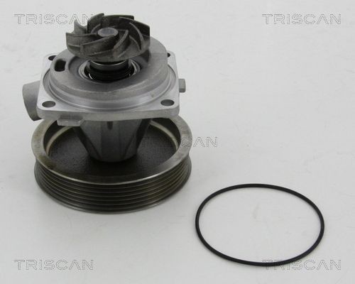 TRISCAN Water pump Article number: 8600 10080 cheaply