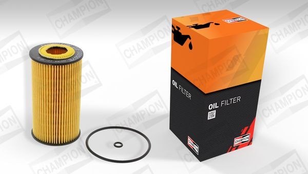CHAMPION Spark plug PSG Article number: RB77WPCC/012 cheaply